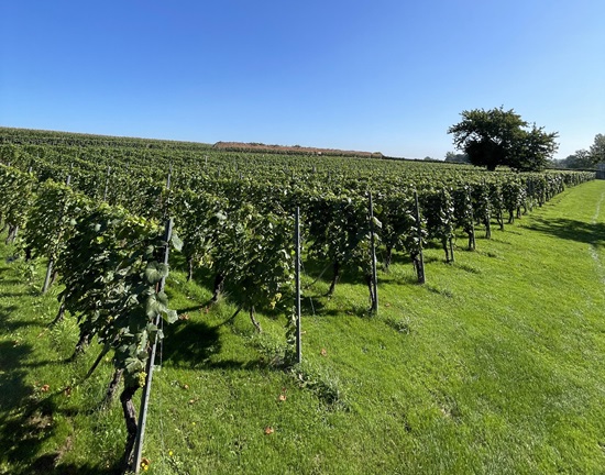 Tour Clos d'Opleeuw